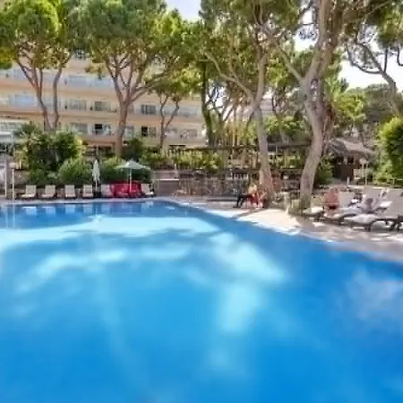 Отель Vegas 4*